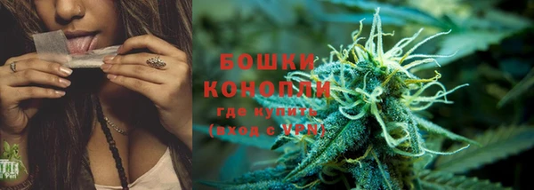 ГАЛЛЮЦИНОГЕННЫЕ ГРИБЫ Балабаново