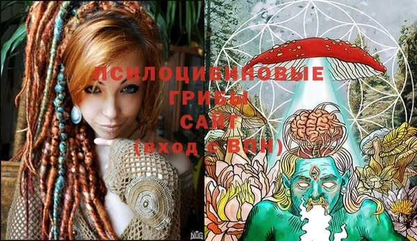ГАЛЛЮЦИНОГЕННЫЕ ГРИБЫ Балабаново
